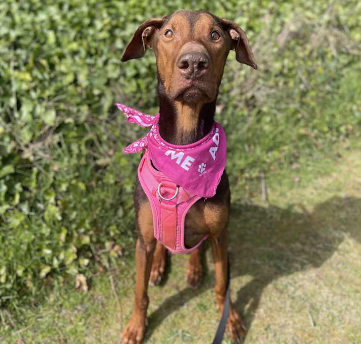 Photo of Greta