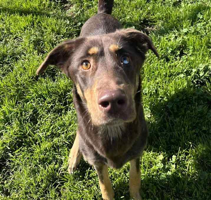 Photo of Atzi