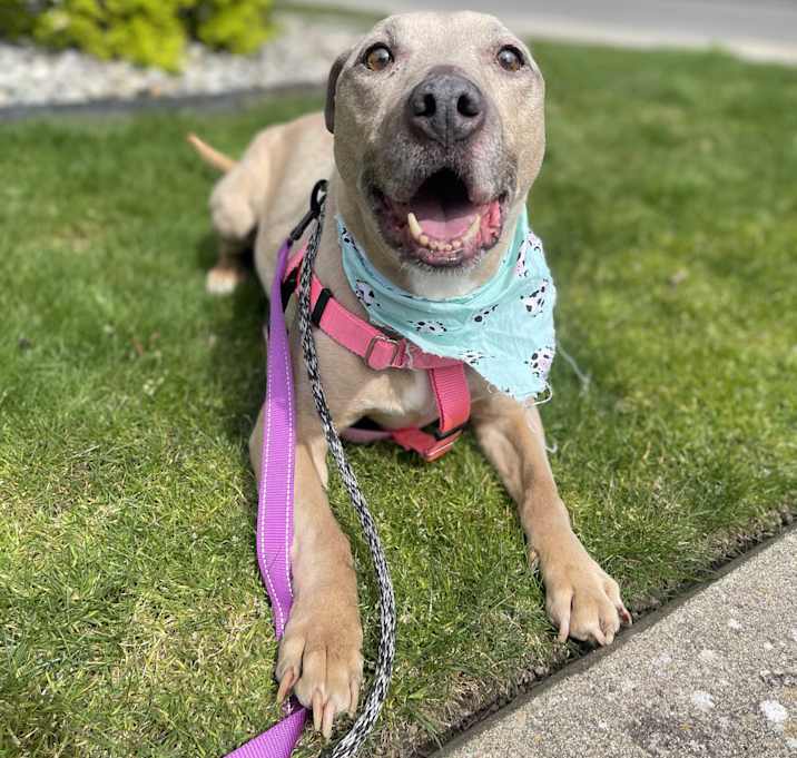 Photo of Little Mama