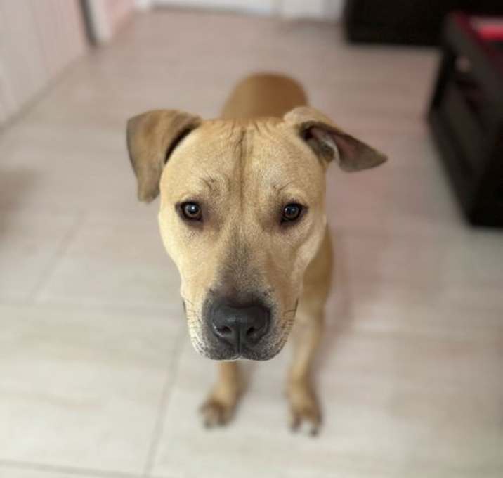 Photo of Hercules