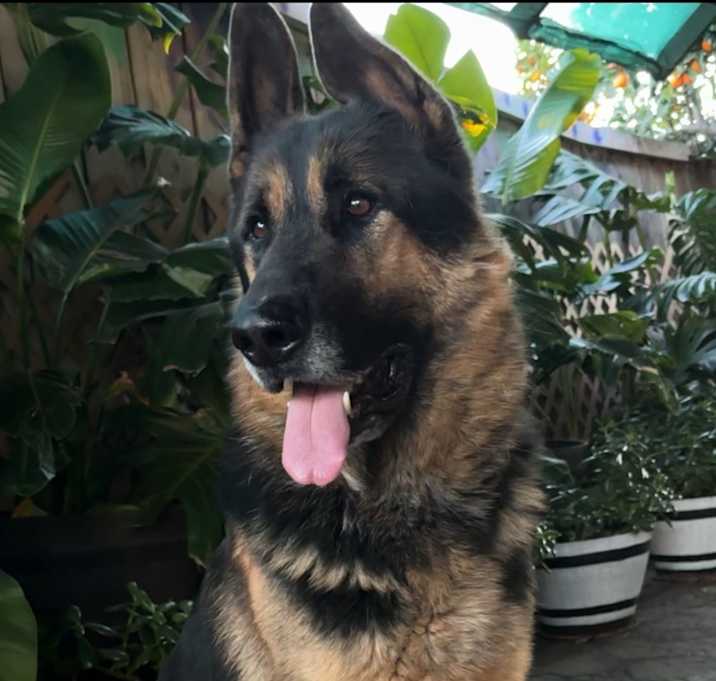Photo of Bobby