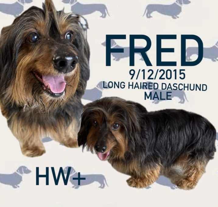 Photo of Fred