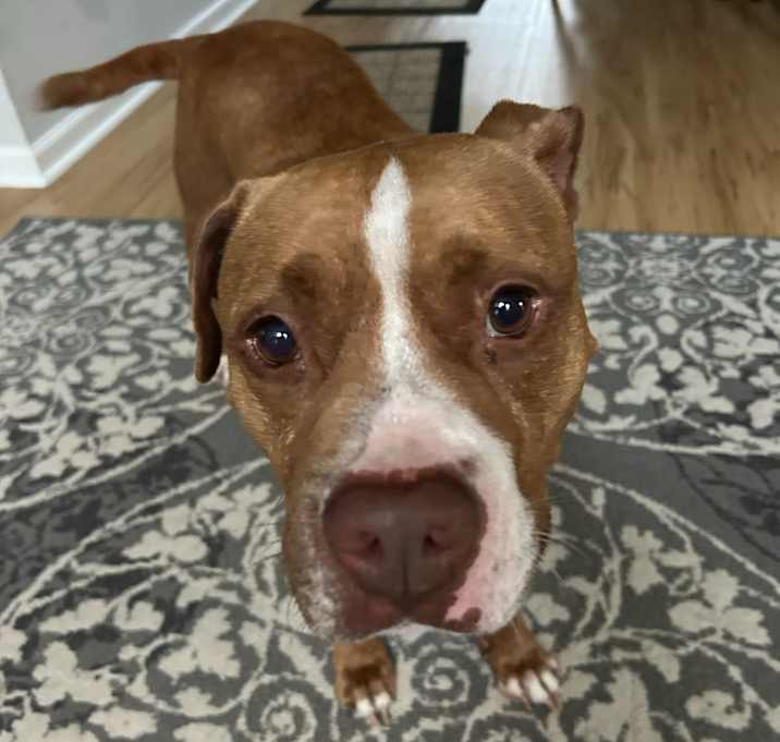 Photo of Camper