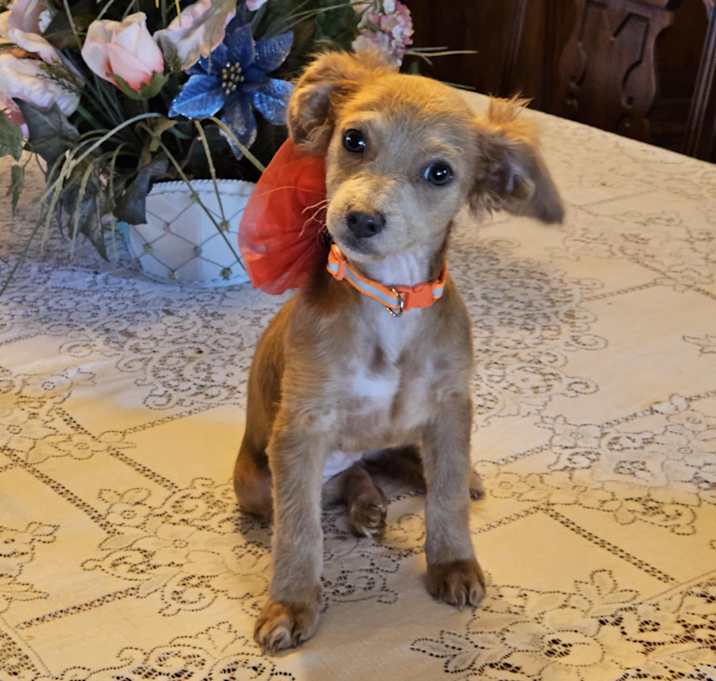 Photo of Ellie