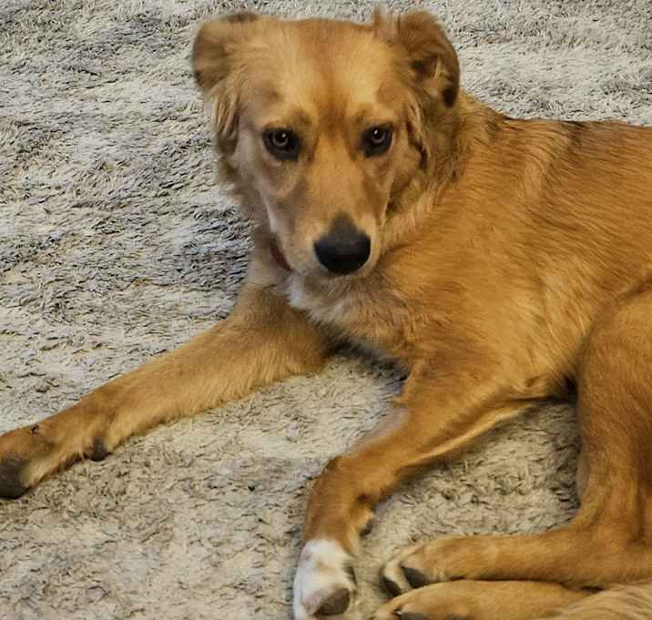 Photo of Nyx