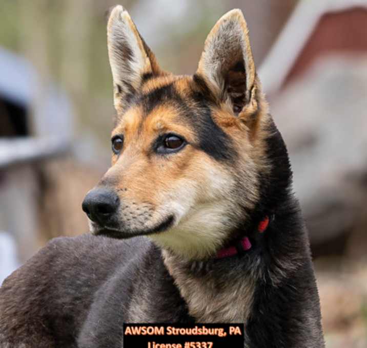 Photo of Resica