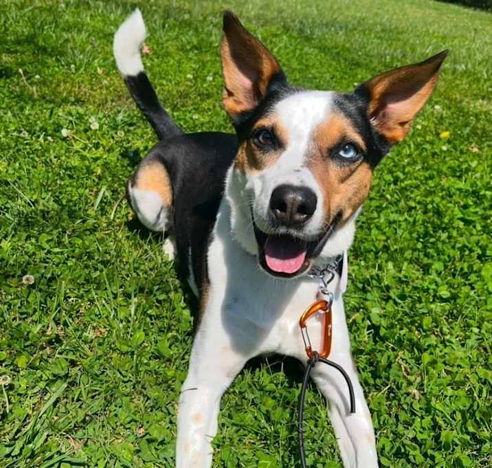 Photo of Phoebe