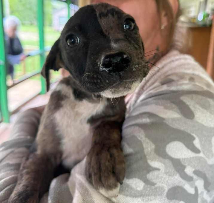 Photo of Tank
