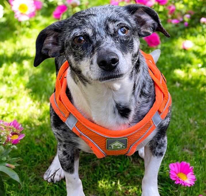 Photo of MILLY