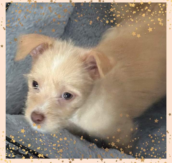 Photo of Sam