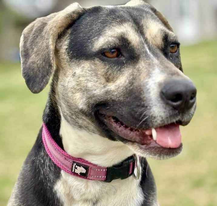 Photo of WHISPER