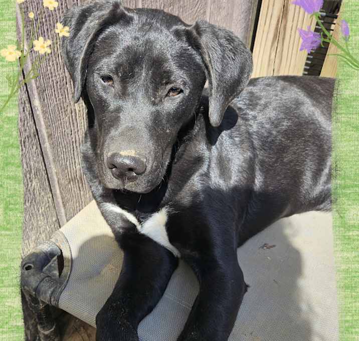 Photo of Frannie