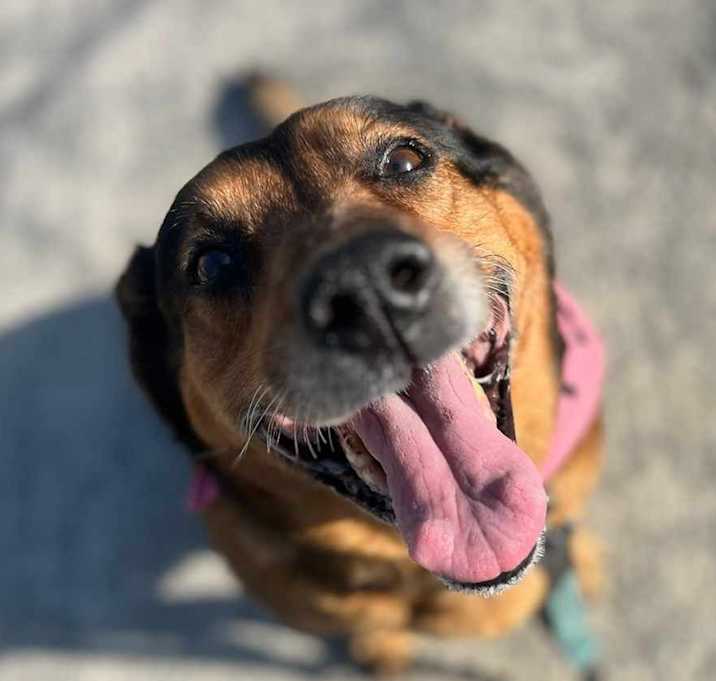 Photo of Nano