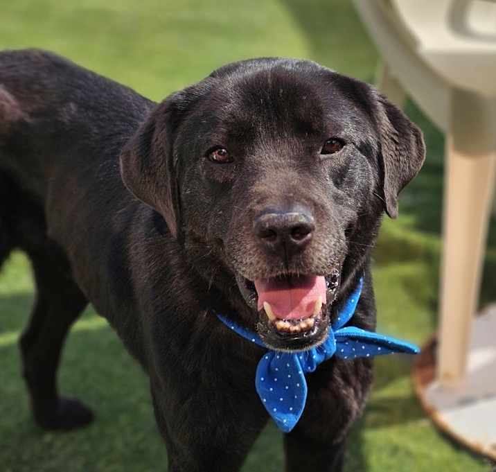 Photo of Mamba