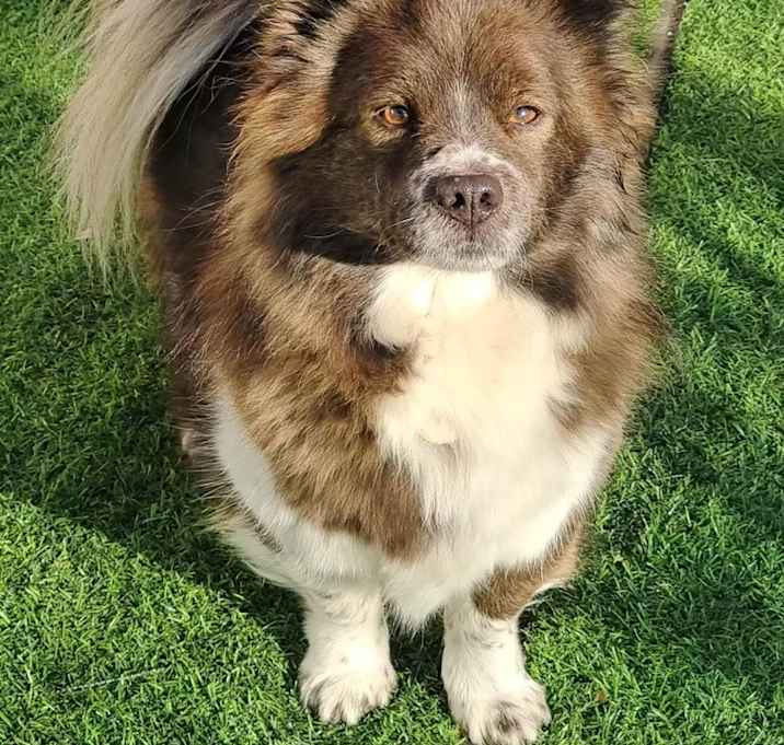 Photo of Mocha