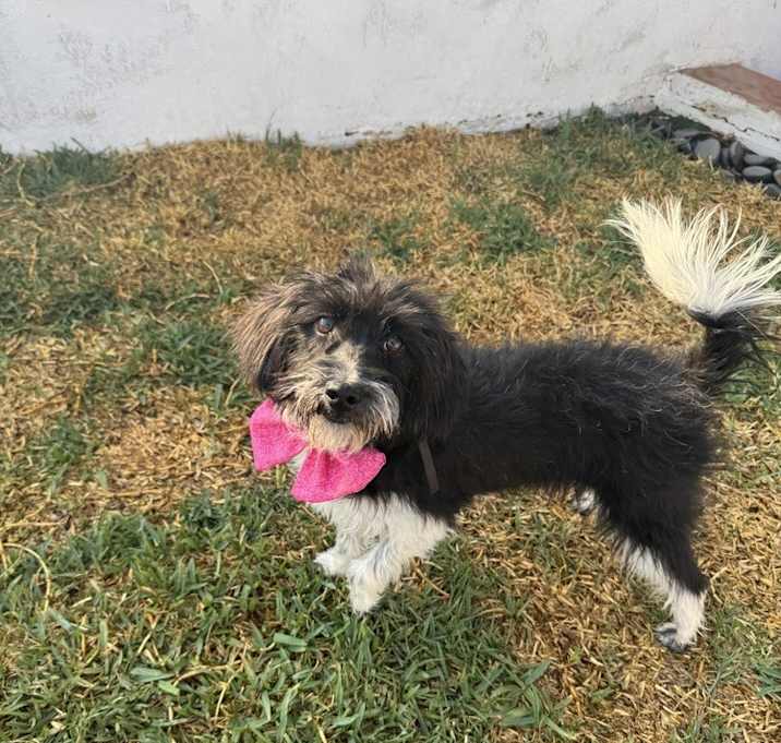 Photo of Barbie