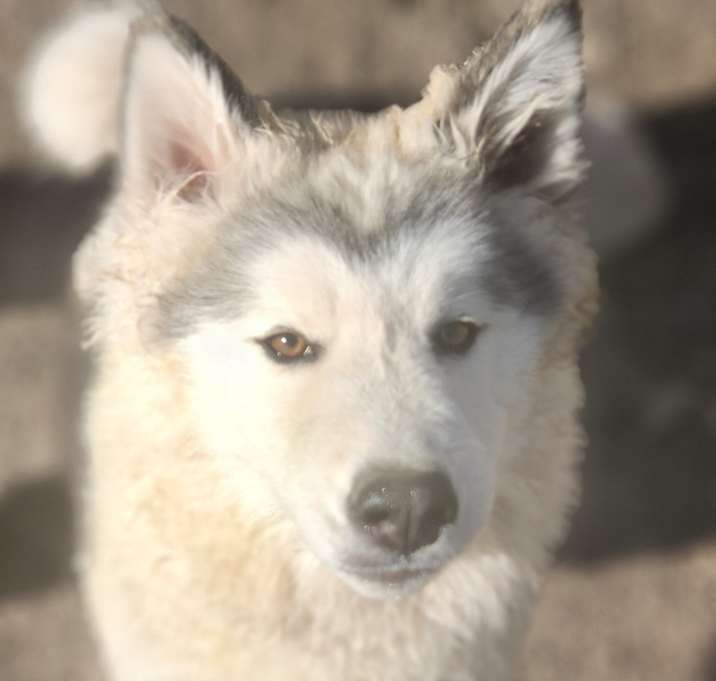 Photo of Leigha