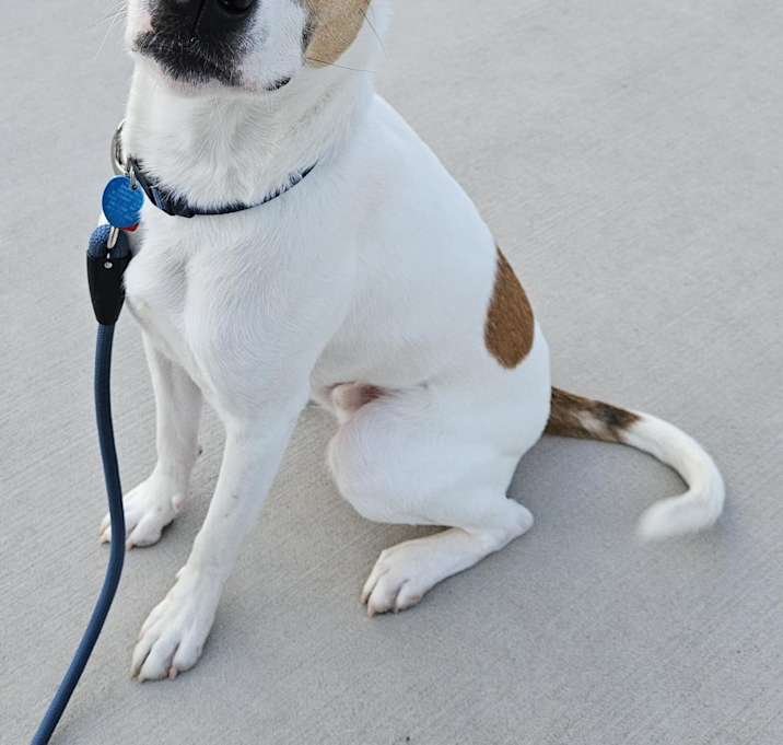 Photo of Daffy