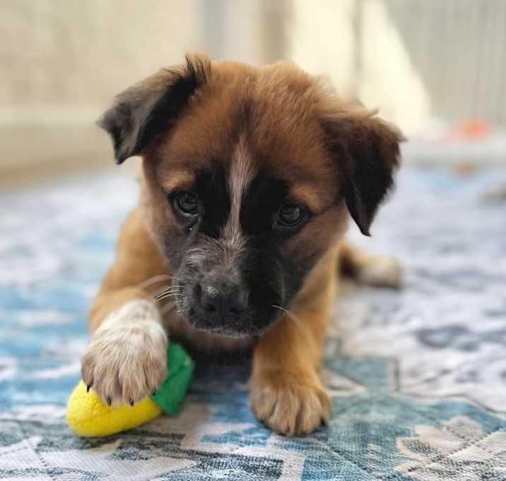 Photo of Kimber