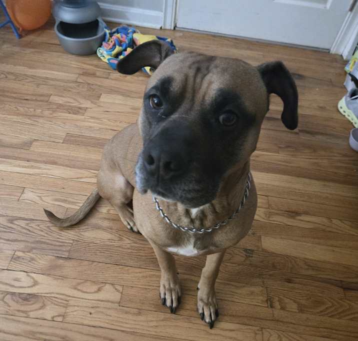 Photo of Rocky