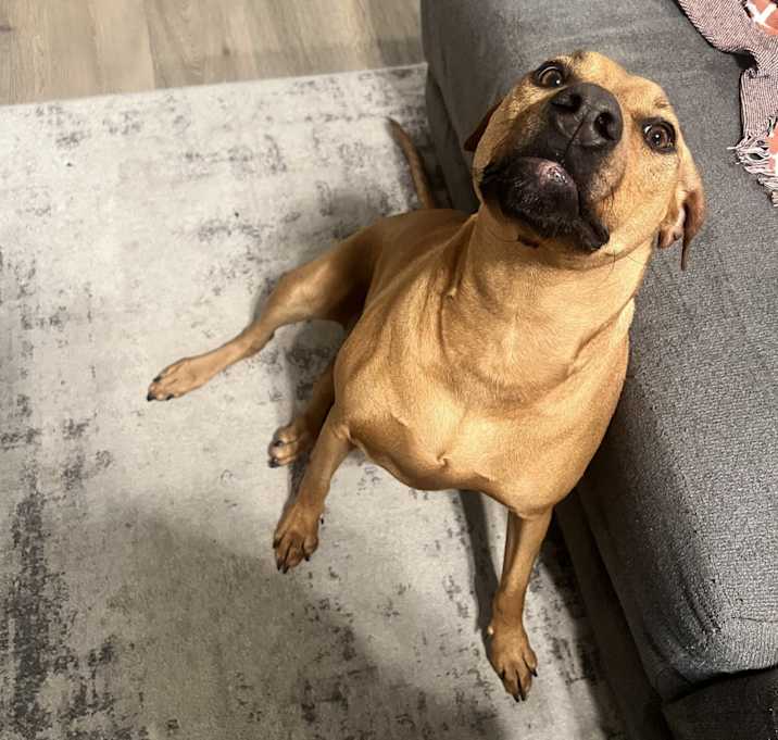 Photo of Leia