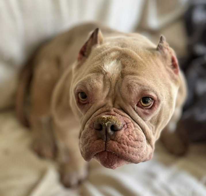 Photo of Froggy