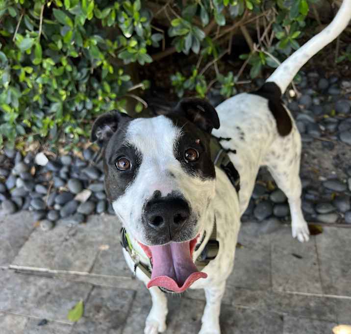 Photo of Dottie