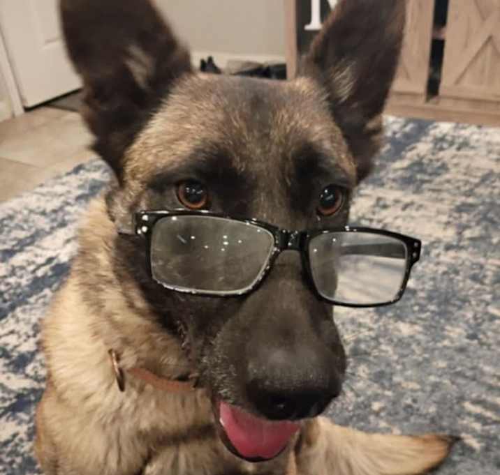 Photo of Sassy