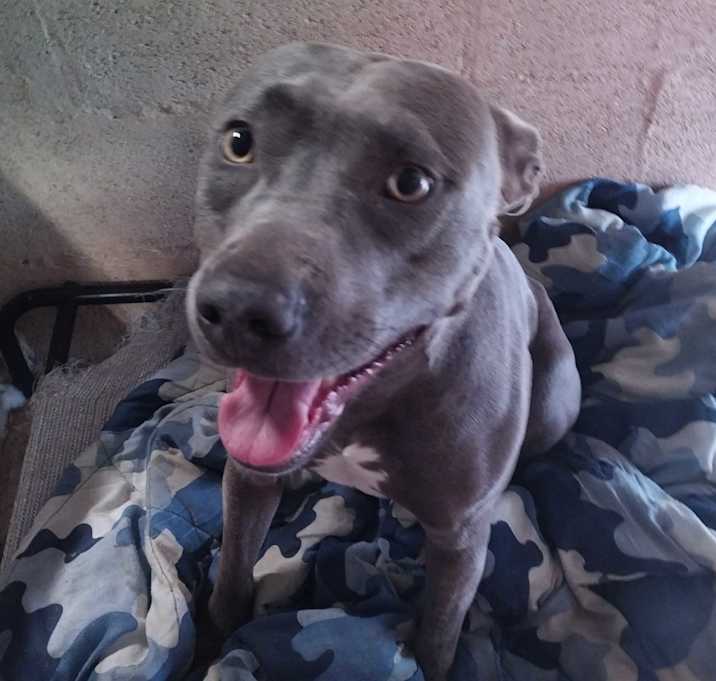 Photo of Abbie