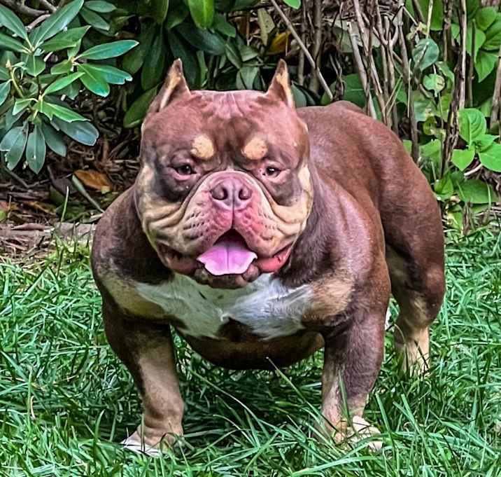 Photo of Kenzo