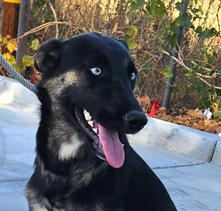 Photo of CHAI