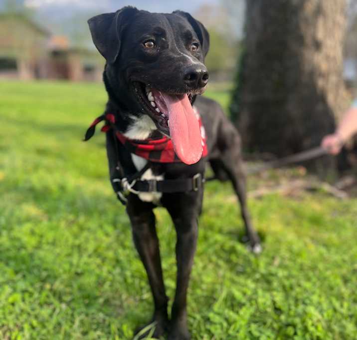 Photo of Archer