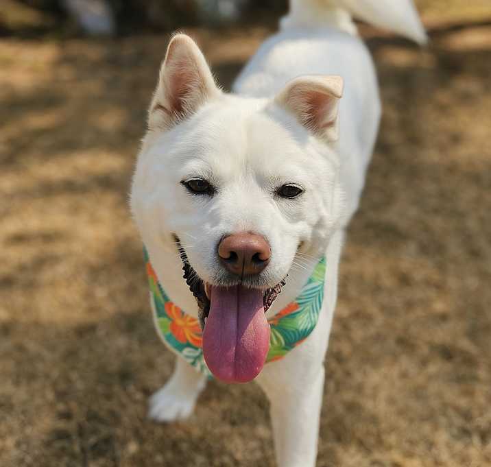 Photo of Eunchan