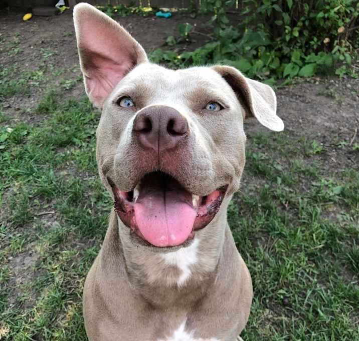 Photo of Arya