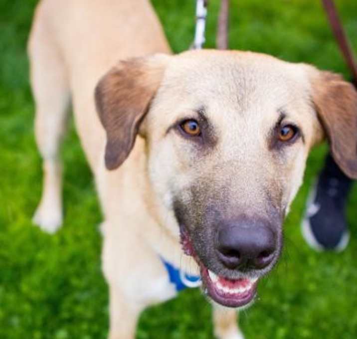 Photo of Murphy