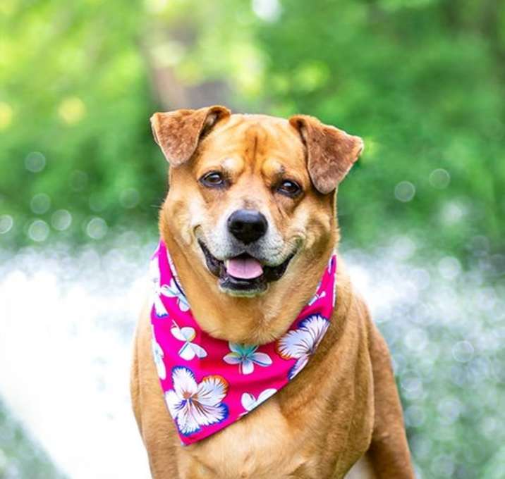Photo of Remy