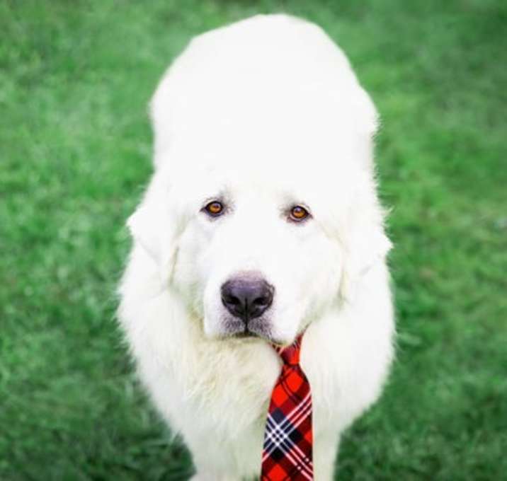 Photo of Jake