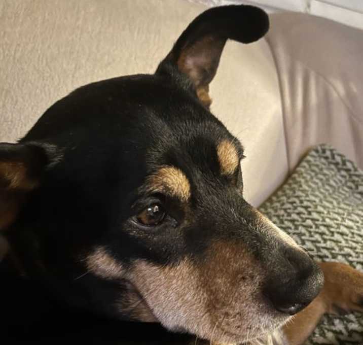 Photo of Janie