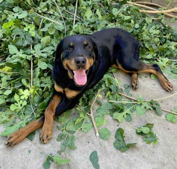 Photo of Bumi