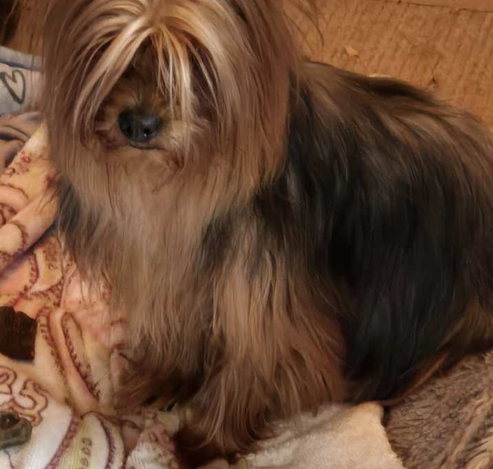 Photo of Maggie
