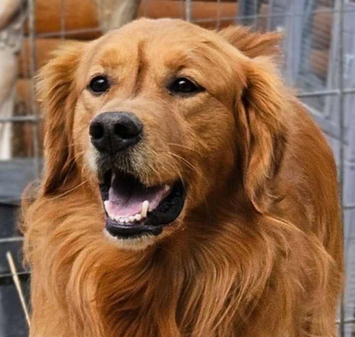 Photo of Max