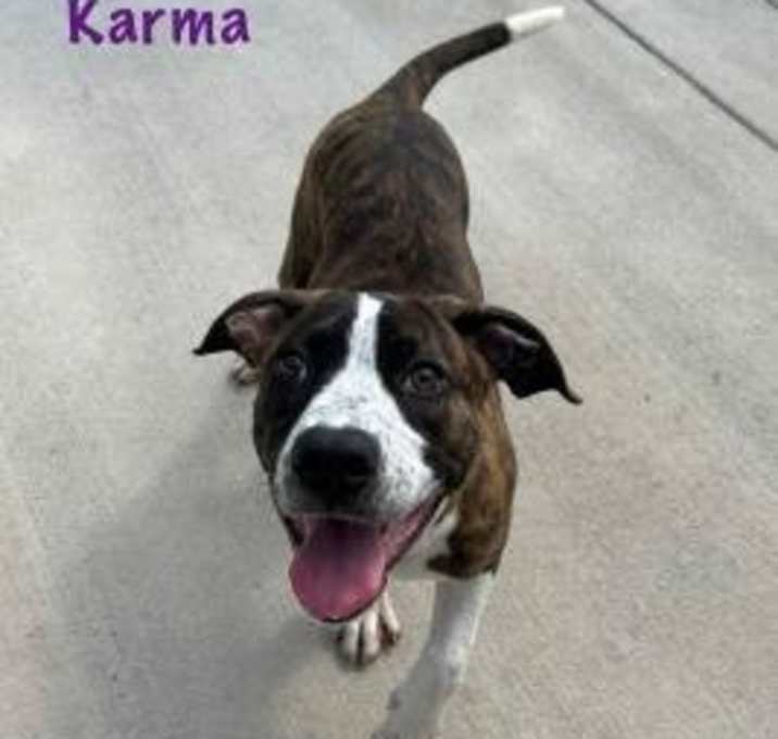 Photo of Karma