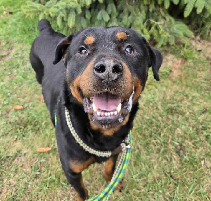 Photo of Spike