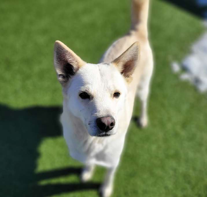 Photo of Frost