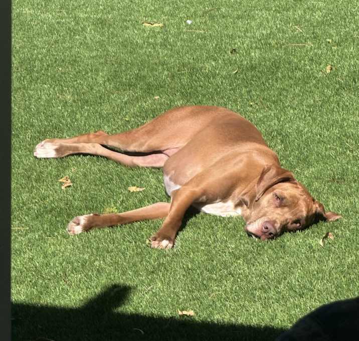 Photo of Gracie May