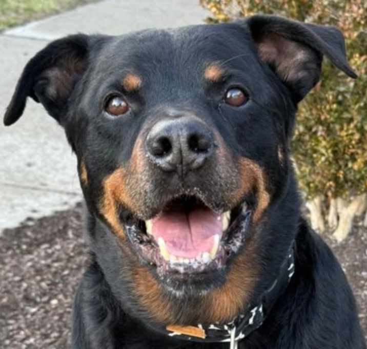 Photo of Tater Tot