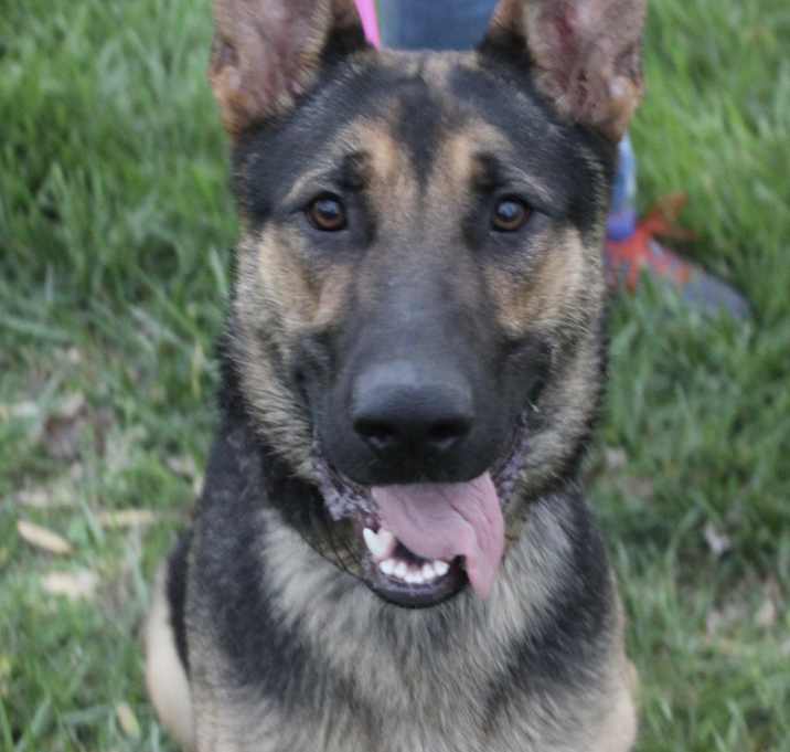 Photo of Zyla