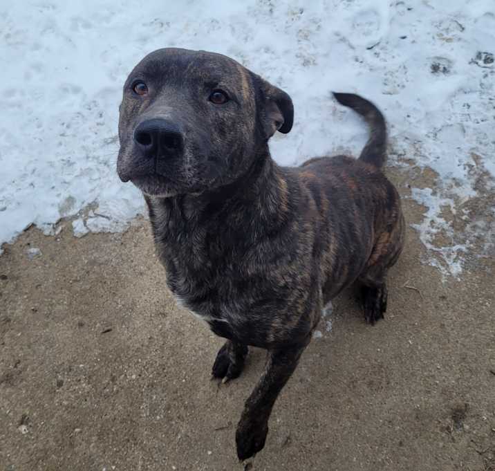 Photo of Junior