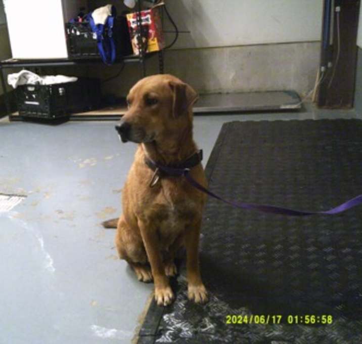 Photo of Gimli