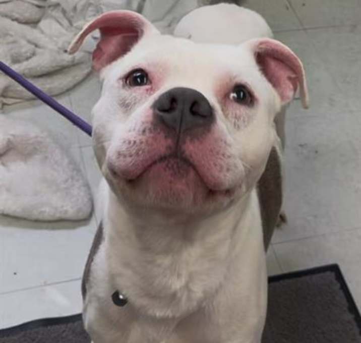 Photo of THOR